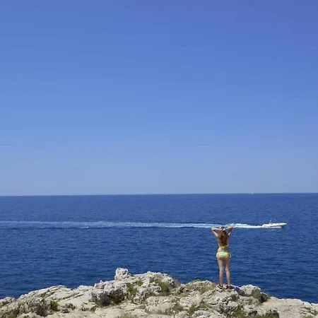 5 * Pula