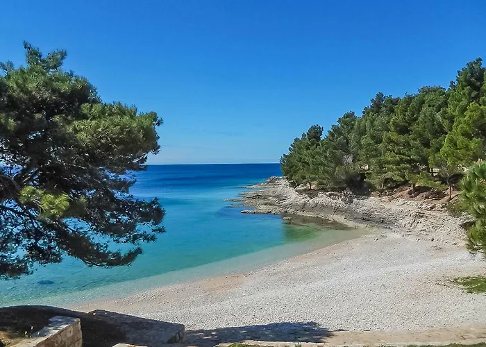 Διαμέρισμα 5